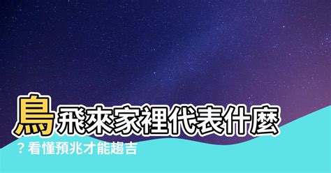 麻雀飛進家裡代表什麼|【麻雀飛進家裡代表什麼】飛雀臨門，吉兆還是兇兆？麻雀飛進家。